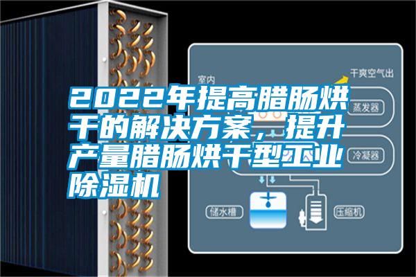 2022年提高臘腸烘干的解決方案，提升產(chǎn)量臘腸烘干型工業(yè)除濕機(jī)