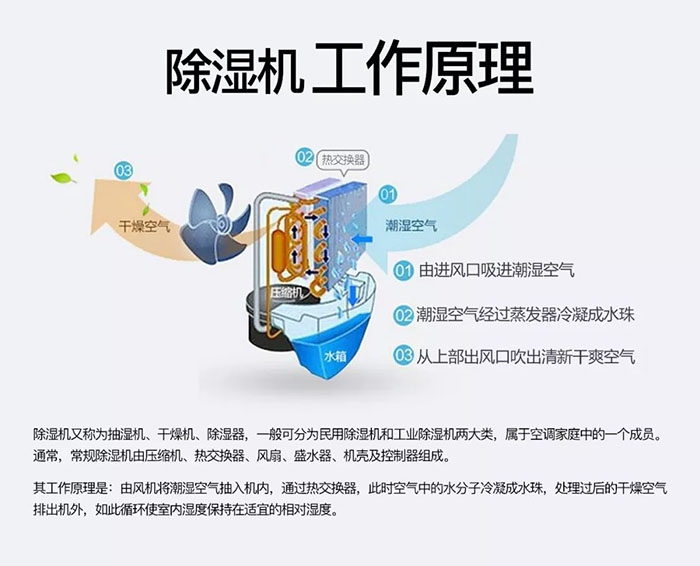 潮濕天氣狗最容易患上這種毛??！三個(gè)注意事項(xiàng)，鏟屎官一定要看看