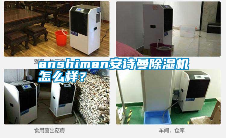 anshiman安詩曼除濕機怎么樣？