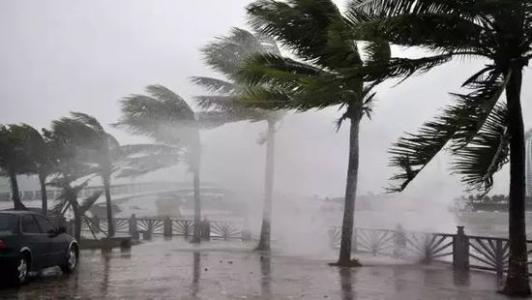 8月臺風雨即將來，除濕機還得用起來