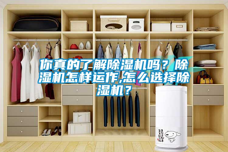 你真的了解除濕機嗎？除濕機怎樣運作,怎么選擇除濕機？