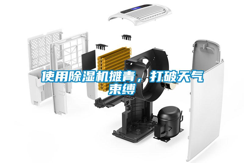 使用除濕機(jī)攤青，打破天氣束縛