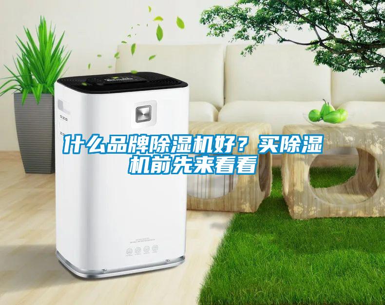 什么品牌除濕機(jī)好？買除濕機(jī)前先來看看