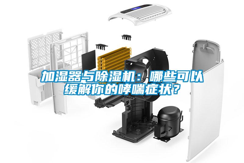 加濕器與除濕機：哪些可以緩解你的哮喘癥狀？