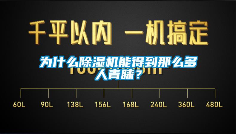 為什么除濕機能得到那么多人青睞？