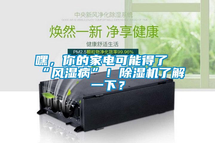 嘿，你的家電可能得了“風(fēng)濕病”！除濕機(jī)了解一下？