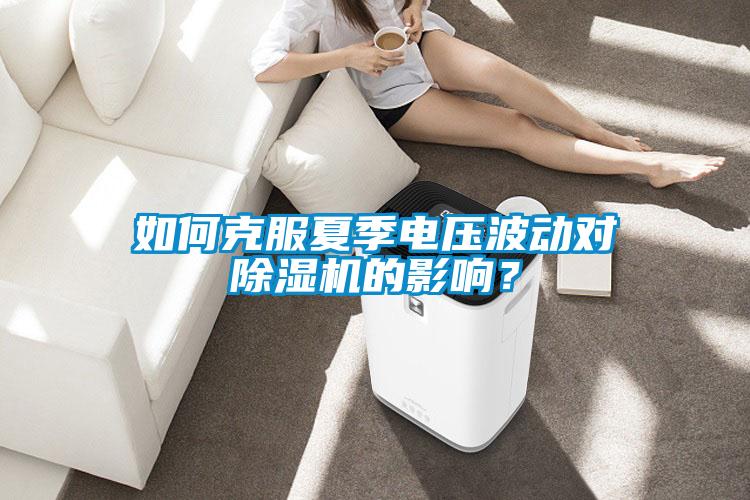 如何克服夏季電壓波動對除濕機的影響？