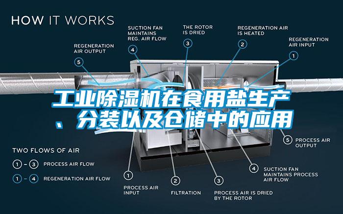 工業(yè)除濕機(jī)在食用鹽生產(chǎn)、分裝以及倉儲中的應(yīng)用