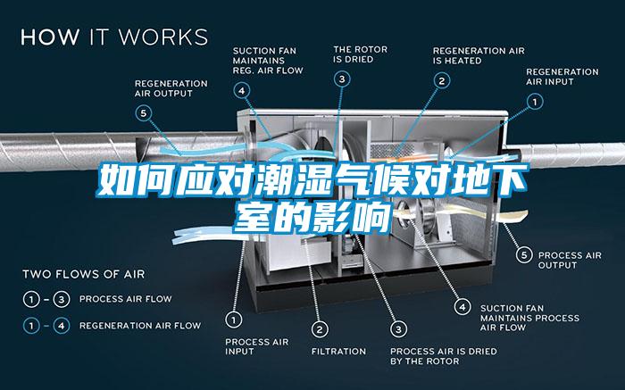 如何應(yīng)對(duì)潮濕氣候?qū)Φ叵率业挠绊?></div>
								<div   id=