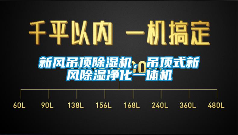 新風吊頂除濕機，吊頂式新風除濕凈化一體機