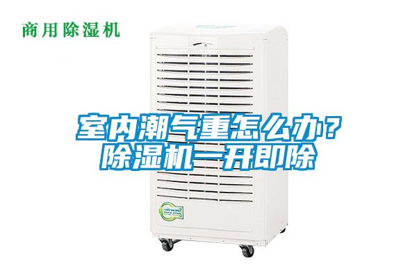 室內潮氣重怎么辦？除濕機一開即除