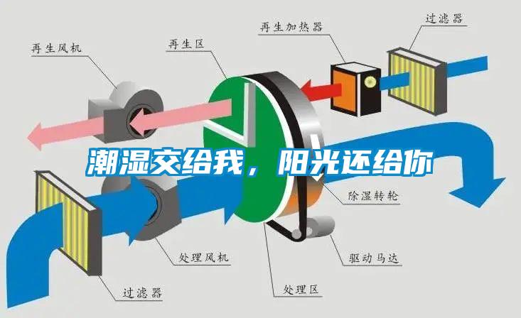 潮濕傷于無形，除濕機(jī)來防范