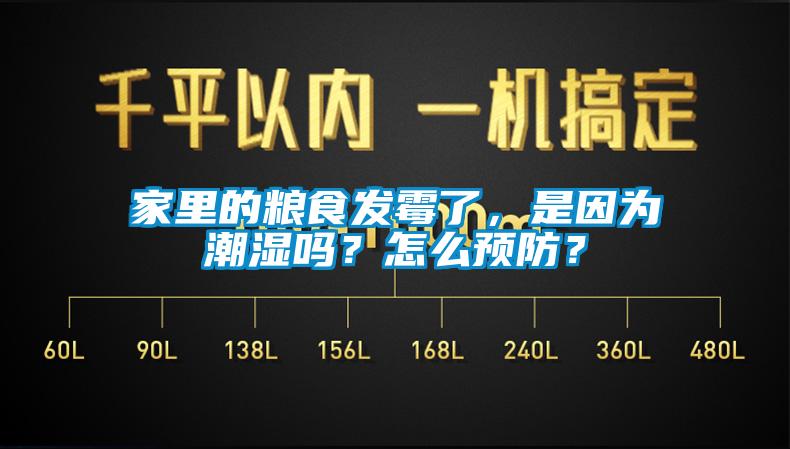 家里的糧食發(fā)霉了，是因?yàn)槌睗駟幔吭趺搭A(yù)防？