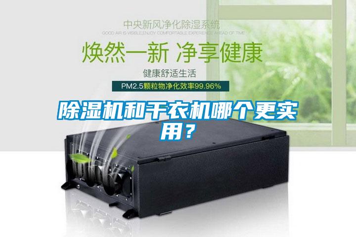 除濕機和干衣機哪個更實用？