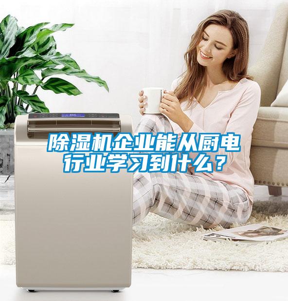 除濕機(jī)企業(yè)能從廚電行業(yè)學(xué)習(xí)到什么？