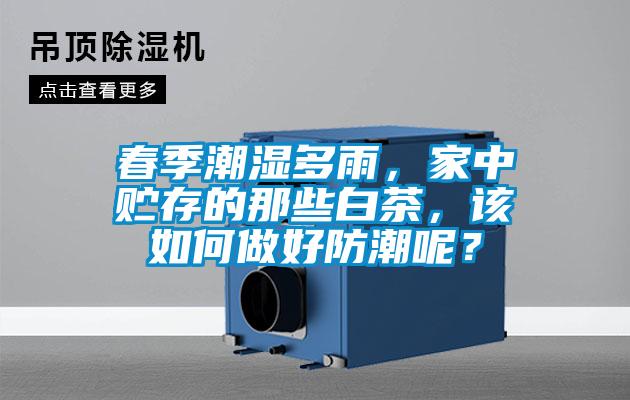 春季潮濕多雨，家中貯存的那些白茶，該如何做好防潮呢？