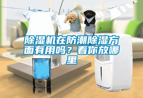 除濕機(jī)在防潮除濕方面有用嗎？看你放哪里