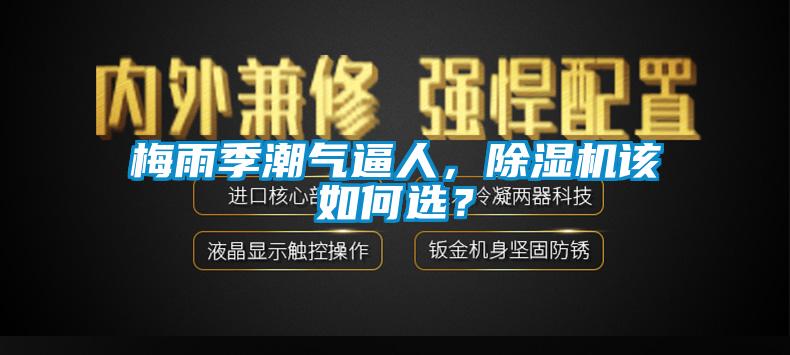 梅雨季潮氣逼人，除濕機該如何選？