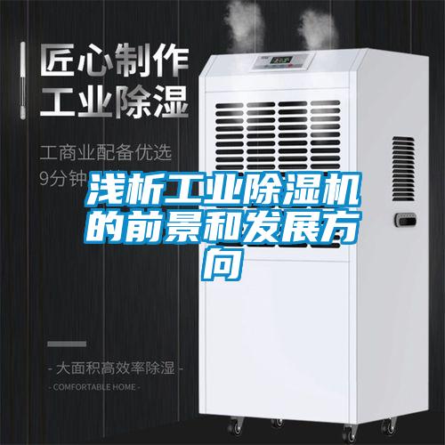 淺析工業(yè)除濕機的前景和發(fā)展方向