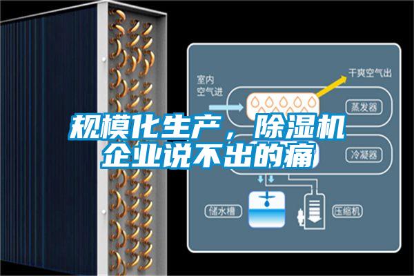規(guī)模化生產(chǎn)，除濕機企業(yè)說不出的痛