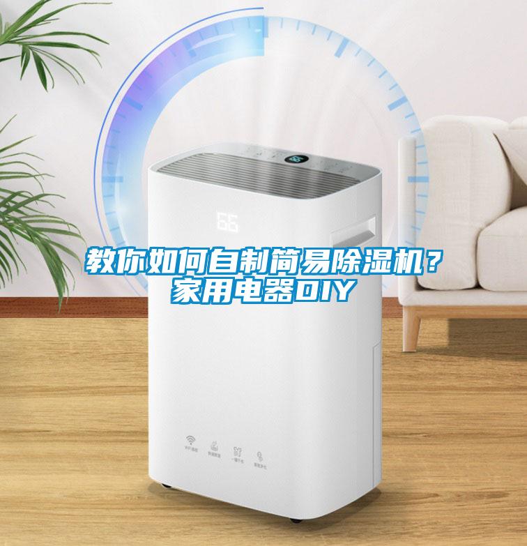 教你如何自制簡易除濕機？家用電器DIY