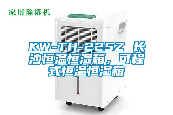 KW-TH-225Z 長(zhǎng)沙恒溫恒濕箱，可程式恒溫恒濕箱