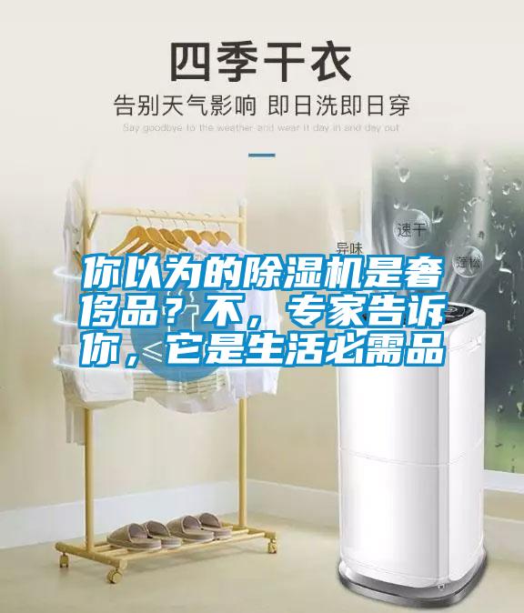 你以為的除濕機(jī)是奢侈品？不，專家告訴你，它是生活必需品