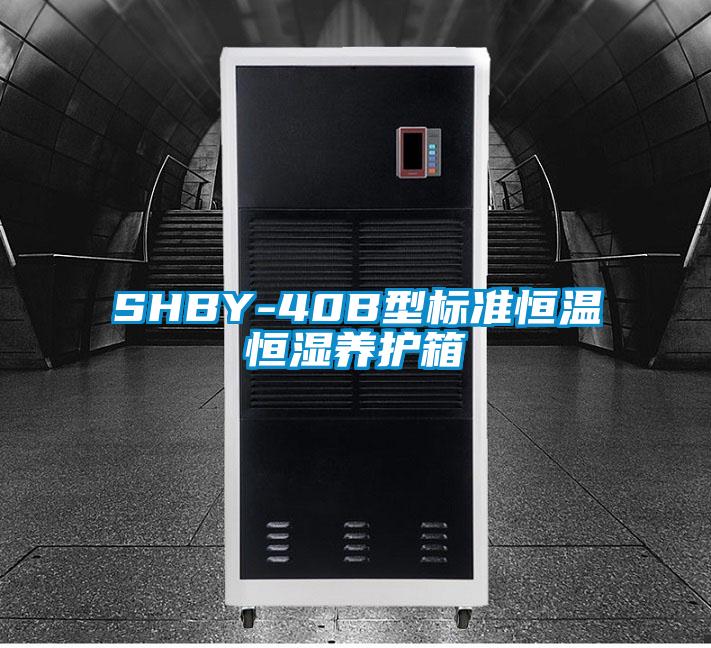 SHBY-40B型標準恒溫恒濕養(yǎng)護箱