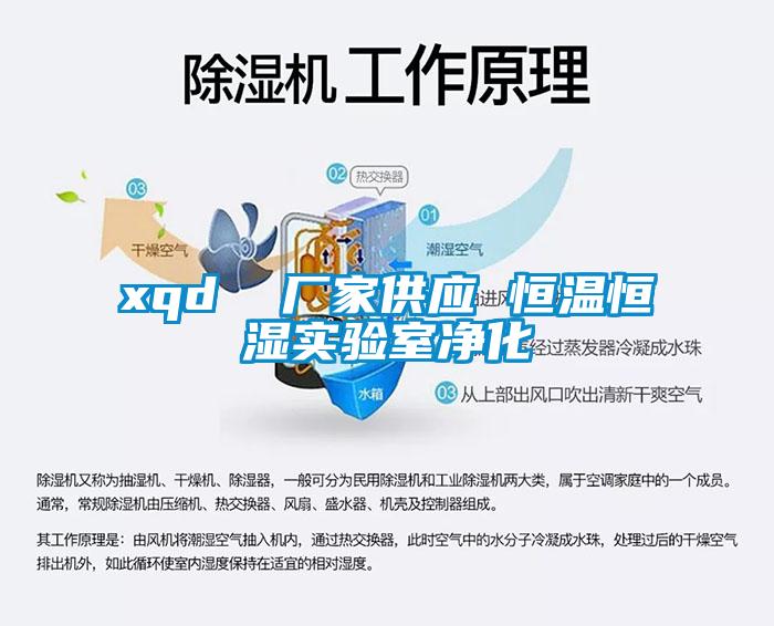 xqd  廠家供應(yīng) 恒溫恒濕實驗室凈化