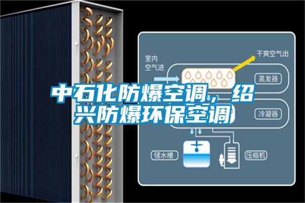 中石化防爆空調(diào)，紹興防爆環(huán)?？照{(diào)