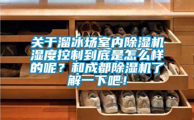 關于溜冰場室內除濕機濕度控制到底是怎么樣的呢？和成都除濕機了解一下吧！