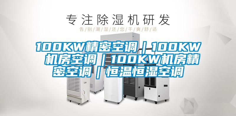 100KW精密空調(diào)｜100KW 機(jī)房空調(diào)｜100KW機(jī)房精密空調(diào)｜恒溫恒濕空調(diào)