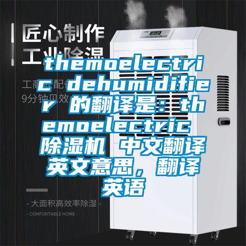 themoelectric dehumidifier 的翻譯是：themoelectric 除濕機 中文翻譯英文意思，翻譯英語