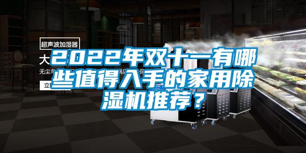 2022年雙十一有哪些值得入手的家用除濕機(jī)推薦？