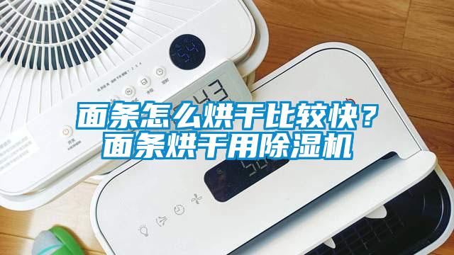 面條怎么烘干比較快？面條烘干用除濕機(jī)