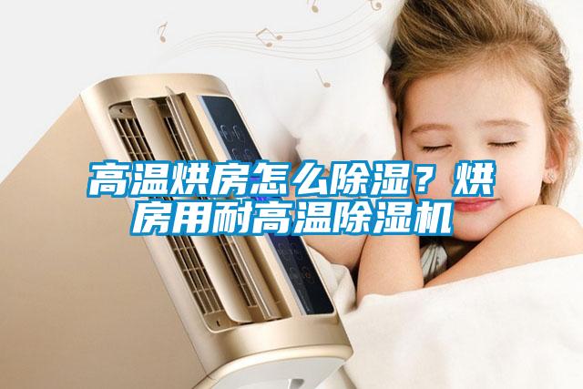 高溫烘房怎么除濕？烘房用耐高溫除濕機