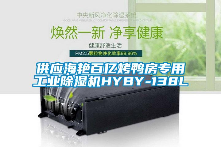 供應海艷百億烤鴨房專用工業(yè)除濕機HYBY-138L