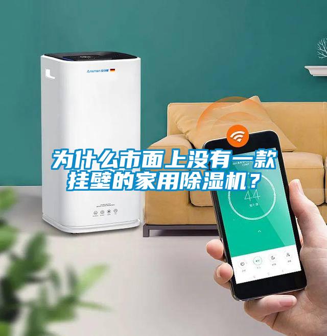 為什么市面上沒有一款掛壁的家用除濕機？