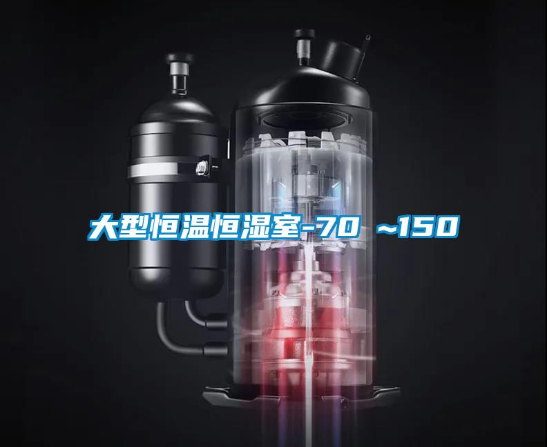 大型恒溫恒濕室-70℃~150℃