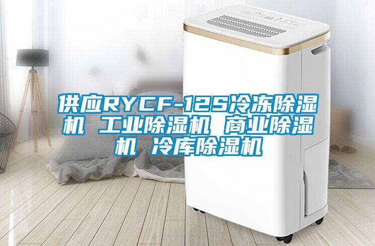 供應RYCF-12S冷凍除濕機 工業(yè)除濕機 商業(yè)除濕機 冷庫除濕機