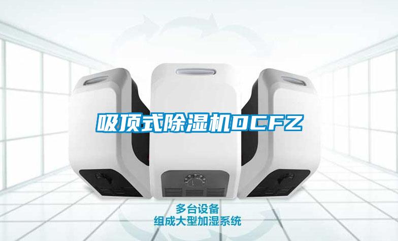 吸頂式除濕機DCFZ