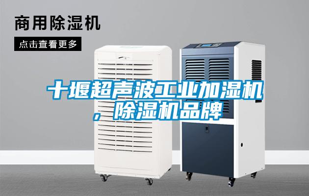 十堰超聲波工業(yè)加濕機(jī)，除濕機(jī)品牌