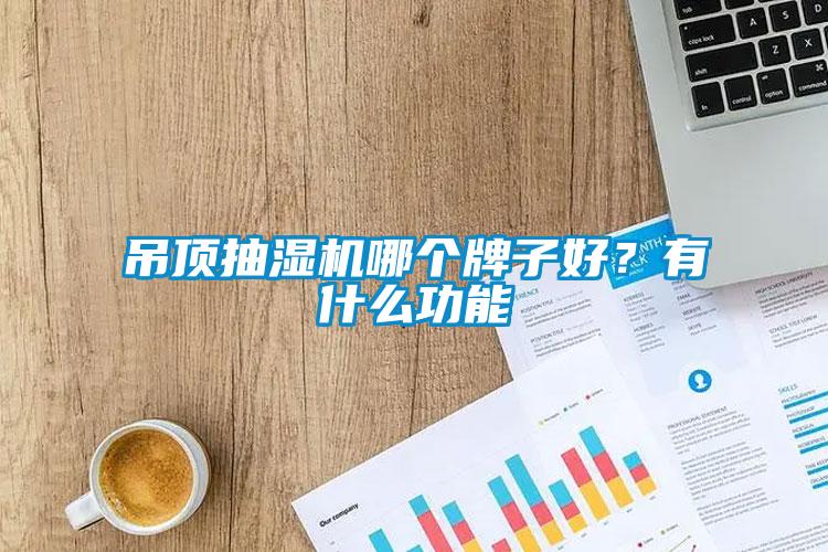 吊頂抽濕機哪個牌子好？有什么功能