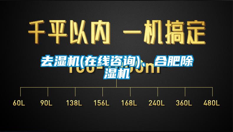 去濕機(jī)(在線咨詢)、合肥除濕機(jī)