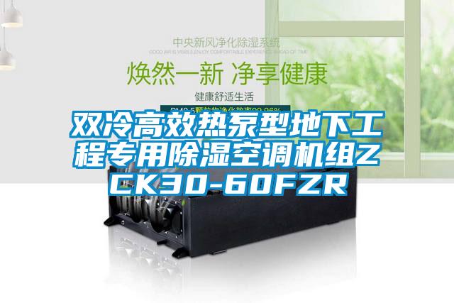 雙冷高效熱泵型地下工程專用除濕空調機組ZCK30-60FZR