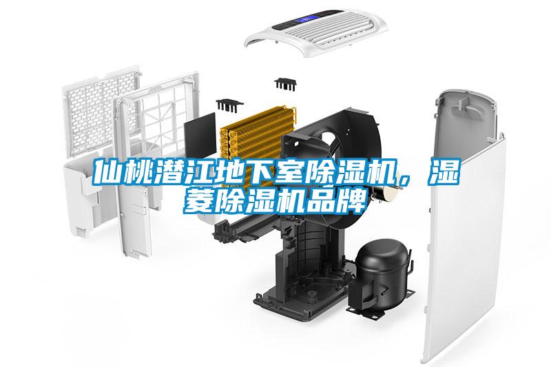 仙桃潛江地下室除濕機(jī)，濕菱除濕機(jī)品牌