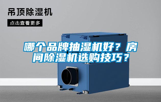 哪個品牌抽濕機好？房間除濕機選購技巧？