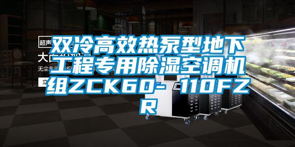 雙冷高效熱泵型地下工程專用除濕空調(diào)機組ZCK60- 110FZR