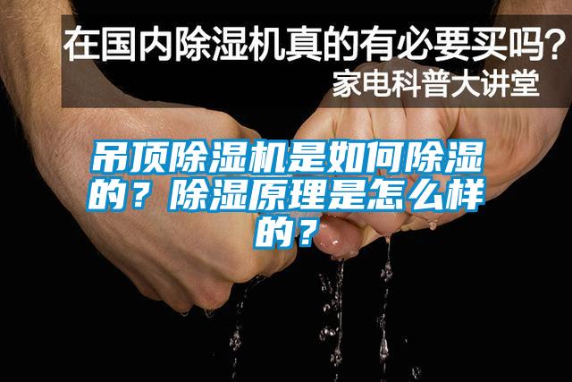 吊頂除濕機(jī)是如何除濕的？除濕原理是怎么樣的？