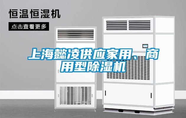 上海懿凌供應(yīng)家用、商用型除濕機